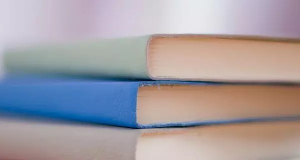 Bücher. Quelle: Photo by Hope House Press - Leather Diary Studio on Unsplash.